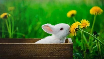 开云平台-男子篮球3X3世界杯资格赛，中国队表现抢眼，男子三对三篮球世界杯中国队队员