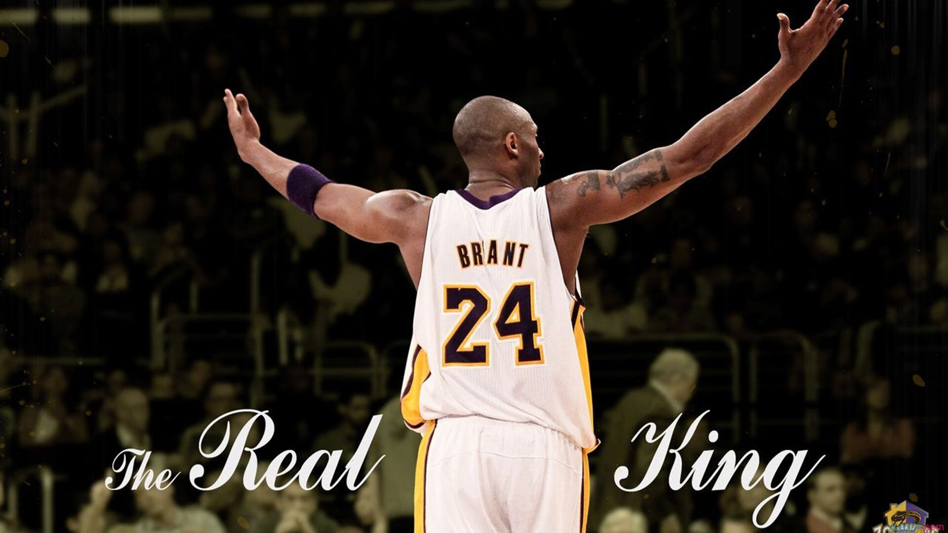 全国青少年“篮球+科普”创新大讲堂在南京精彩开启，普及体育科学知识